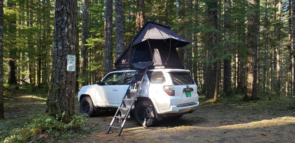 Tent opened underneath tree canopy in the pacific northwest